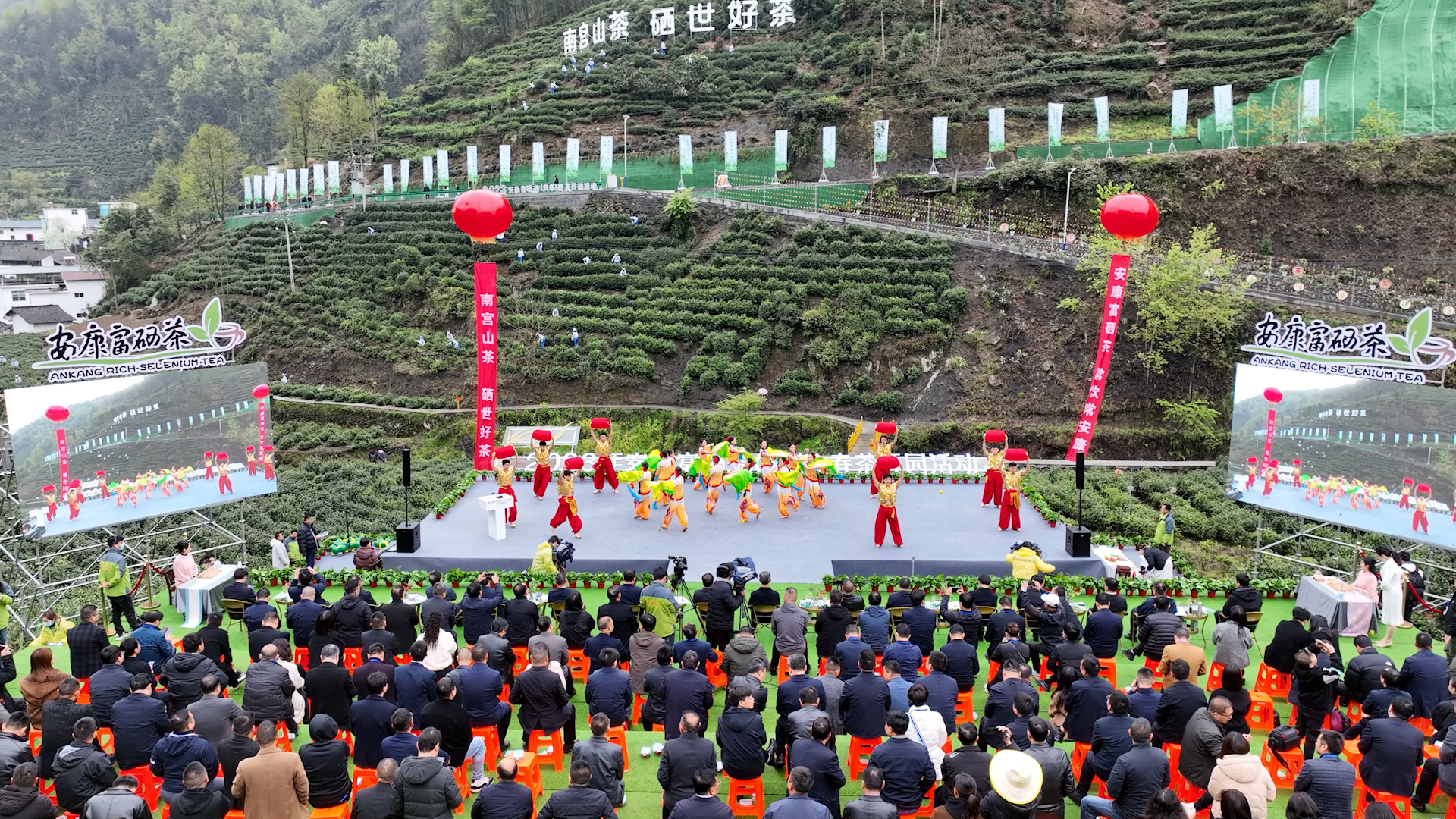 富硒茶 北京