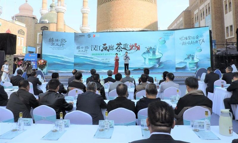 富硒茶铁观音