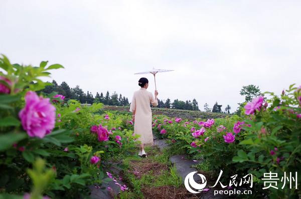喝富硒玫瑰茶