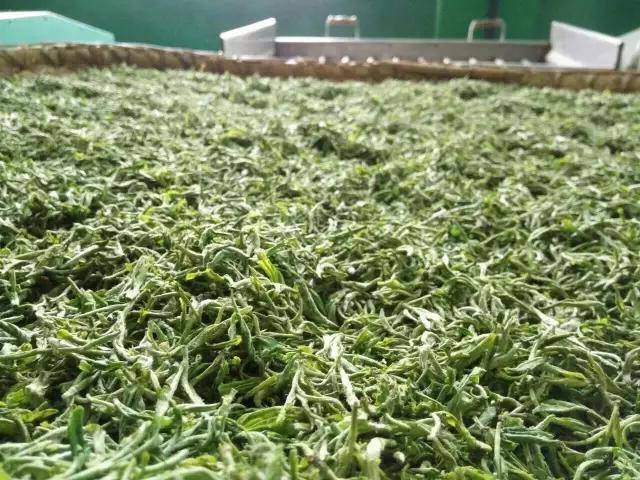 紫阳富硒茶铺
