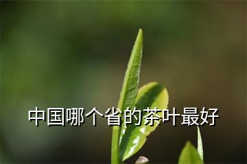 紫阳富硒茶怀