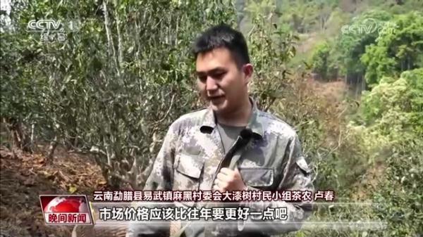 巴东的富硒茶