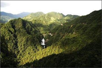 富硒茶推介词