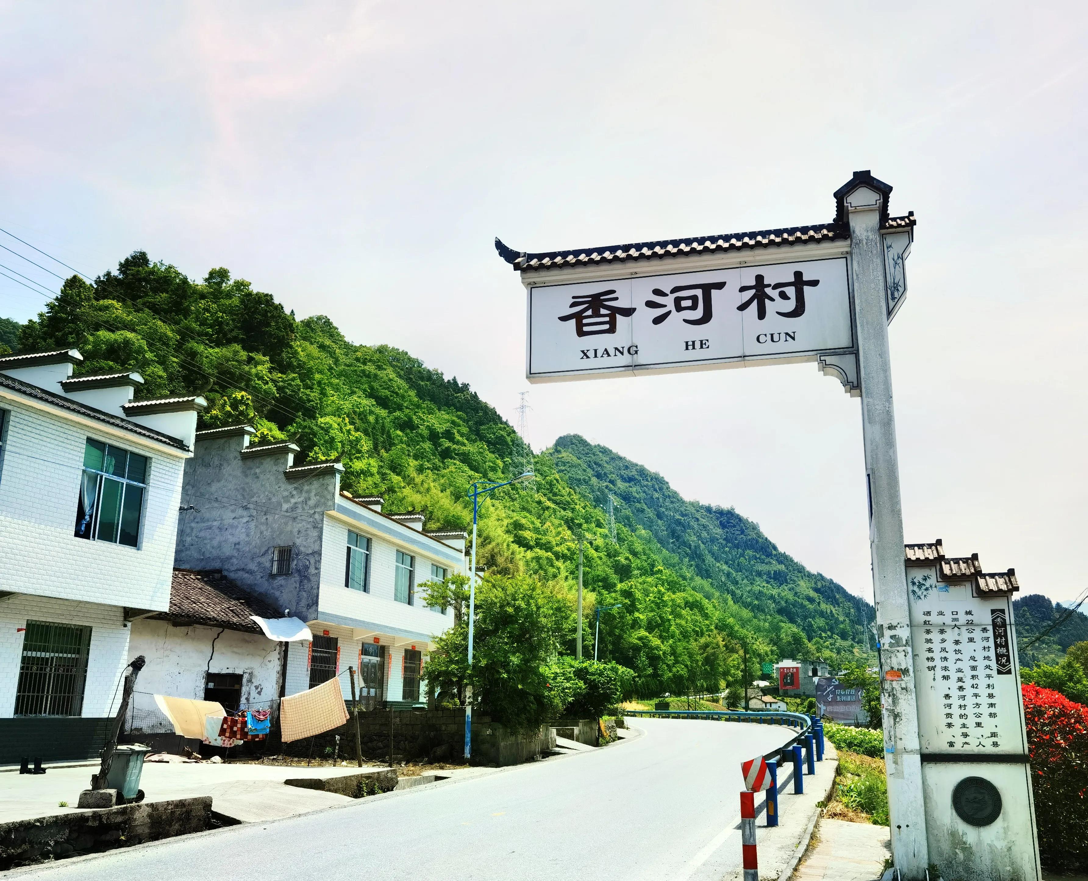 平利富硒黑茶
