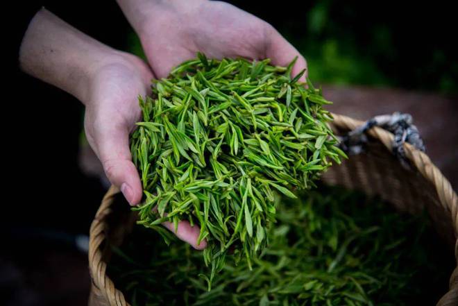 巴东红富硒茶