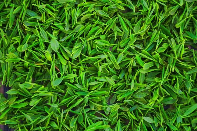 池州富锌硒茶
