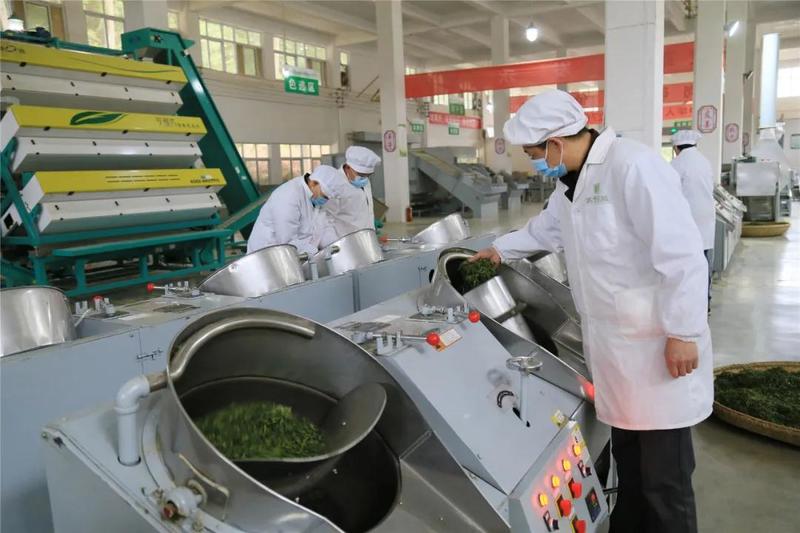 池州富锌硒茶