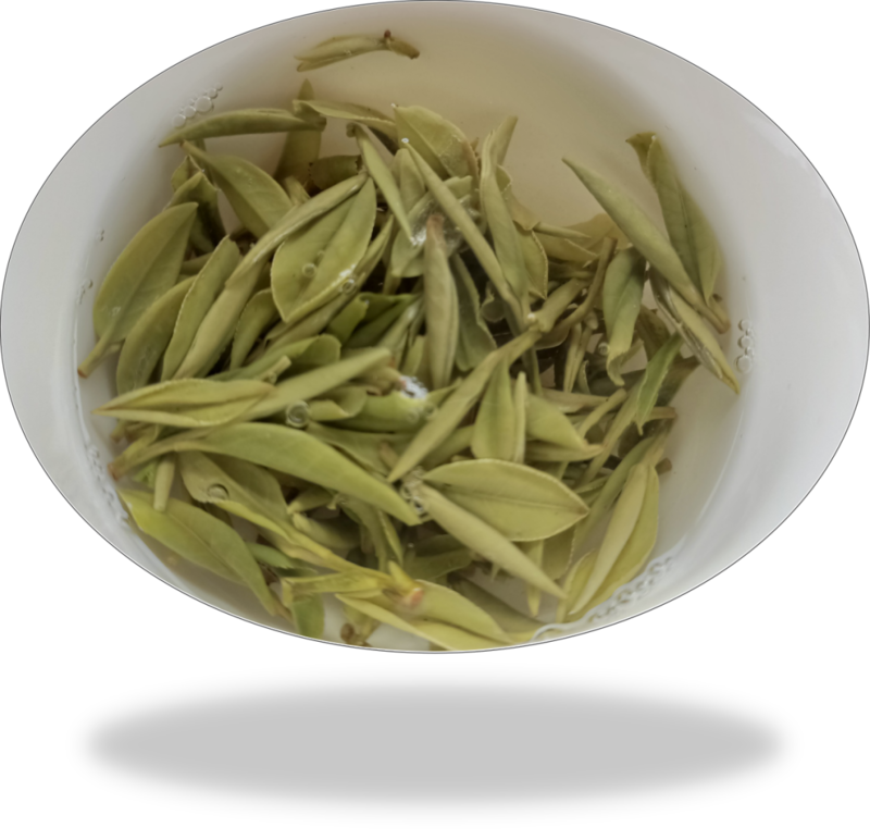池州富锌硒茶