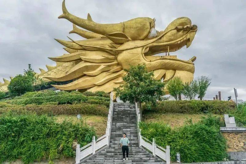 凤冈锌硒富茶