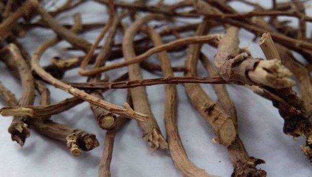富硒藤茶颗粒