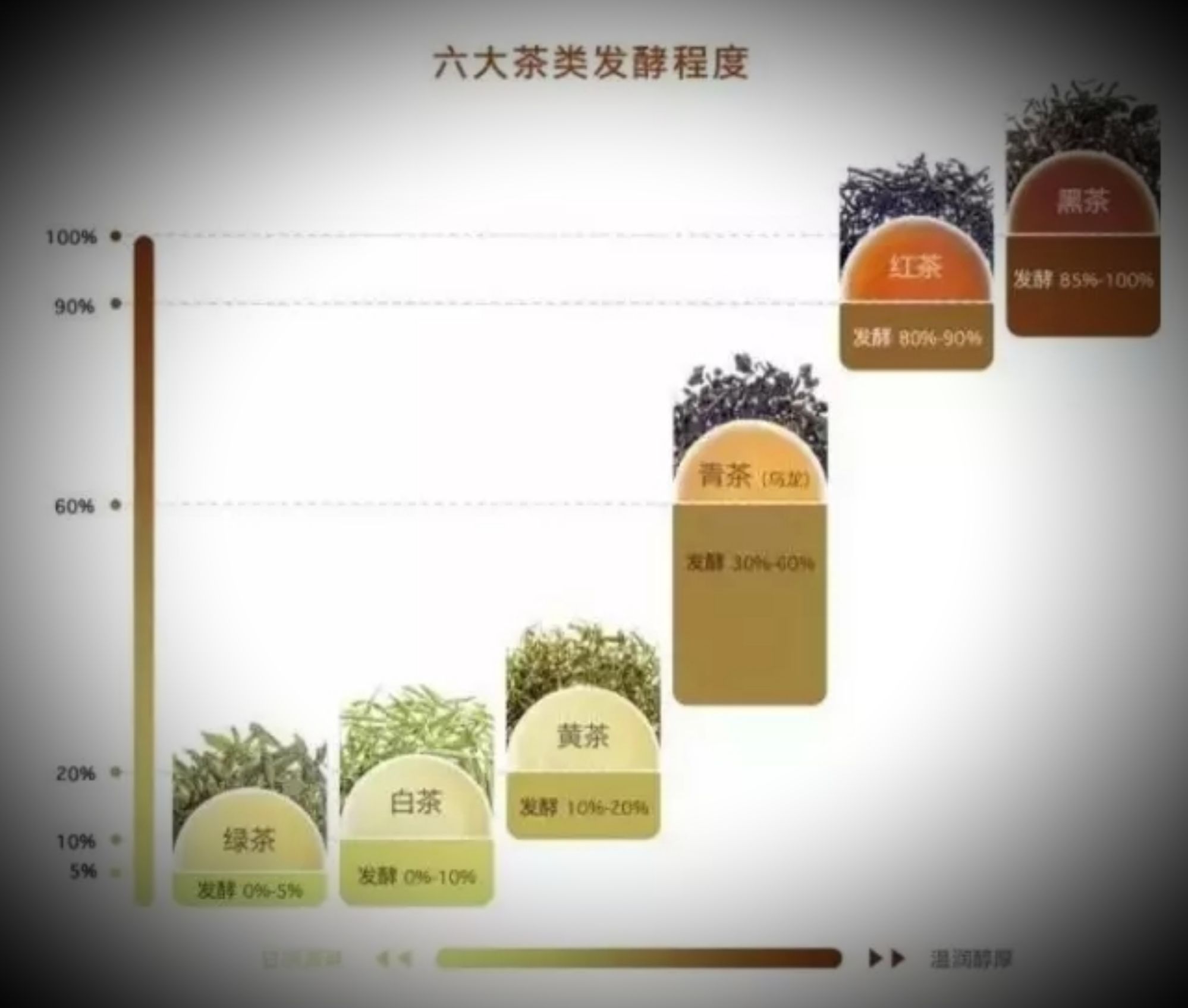 安徽富硒茶村