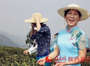 茶农们大声唱出对家乡的热爱。白凯/摄