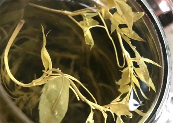 张家界茅岩莓茶与藤茶是同一种茶吗，藤茶跟莓茶一不一样？
