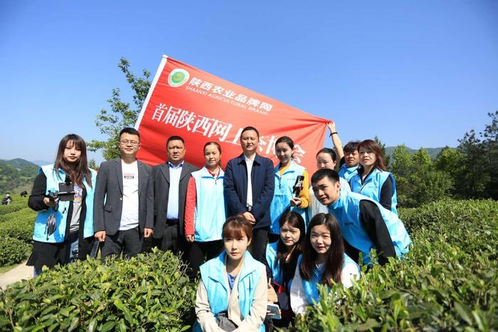五一去哪玩？陕茶代言人带你到安康 了解茶文化