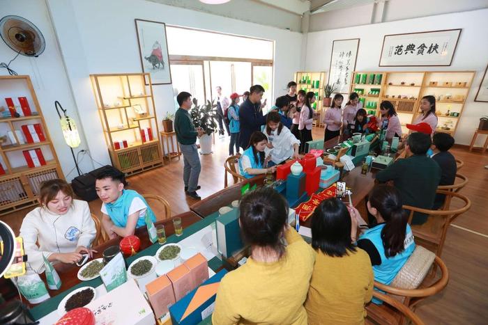 五一去哪玩？陕茶代言人带你到安康 了解茶文化