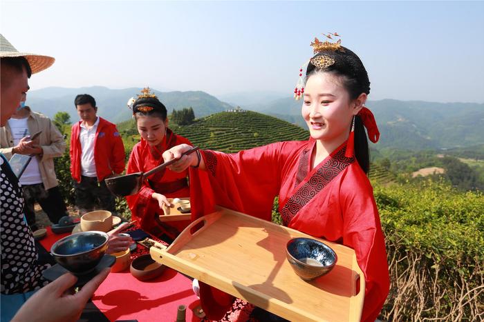 五一去哪玩？陕茶代言人带你到安康 了解茶文化