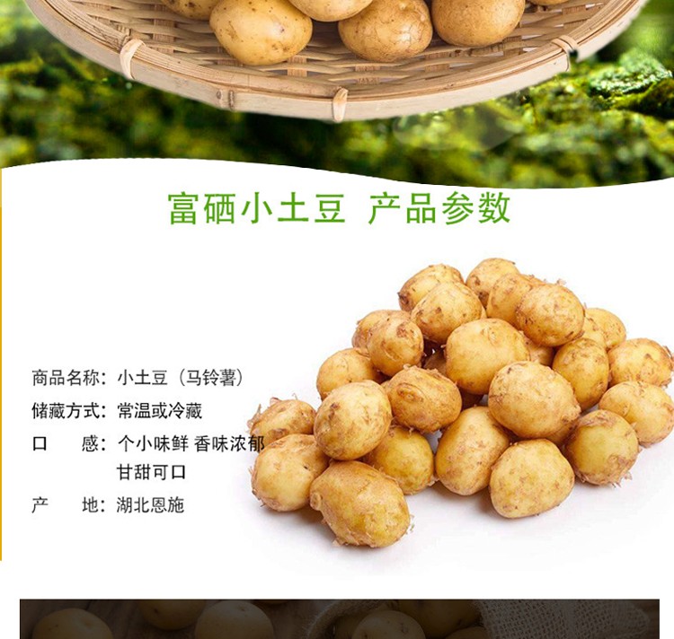建始富硒特茶