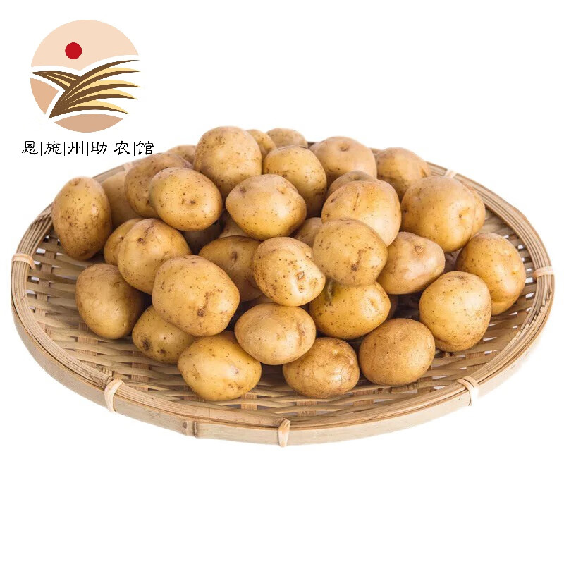 建始富硒特茶
