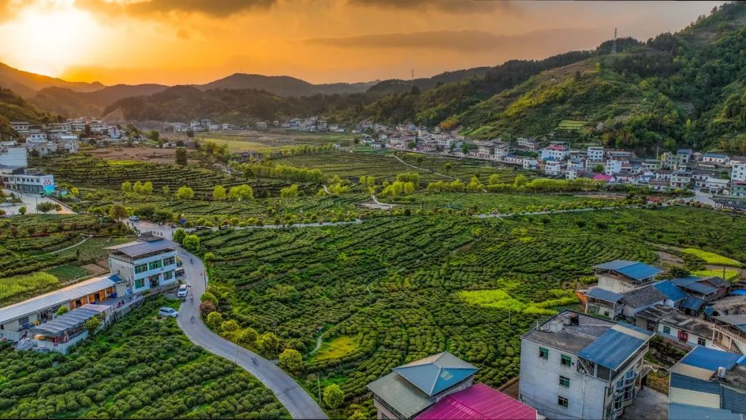 富硒茶的包装