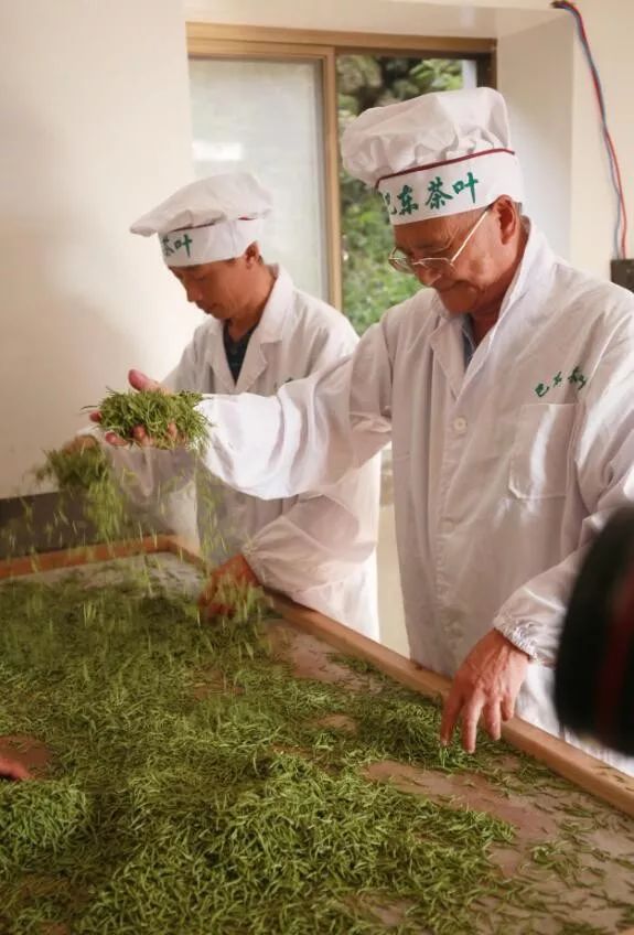 溪丘湾富硒茶(溪丘湾乡多少个村)-硒宝网