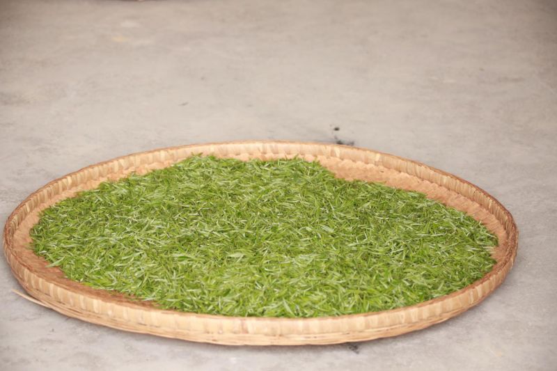 溪丘湾富硒茶(溪丘湾乡多少个村)-硒宝网