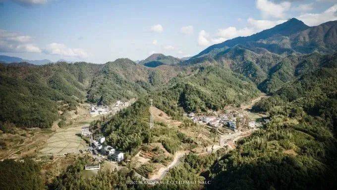 富硒茶仙寓山
