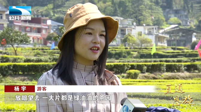 宣恩县富硒茶