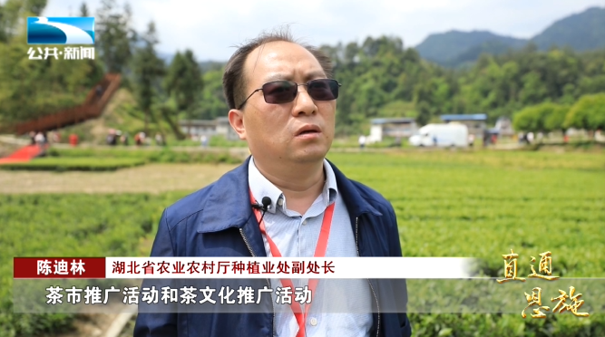 宣恩县富硒茶