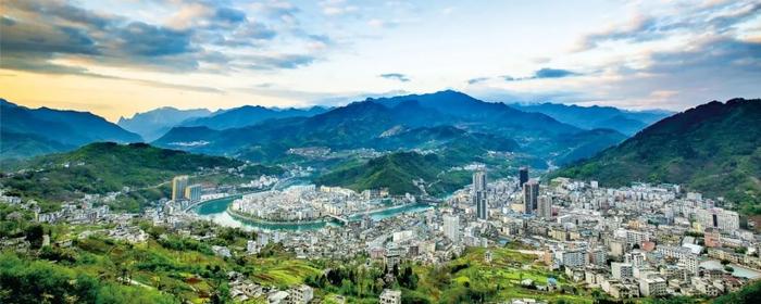 南宫市富硒茶