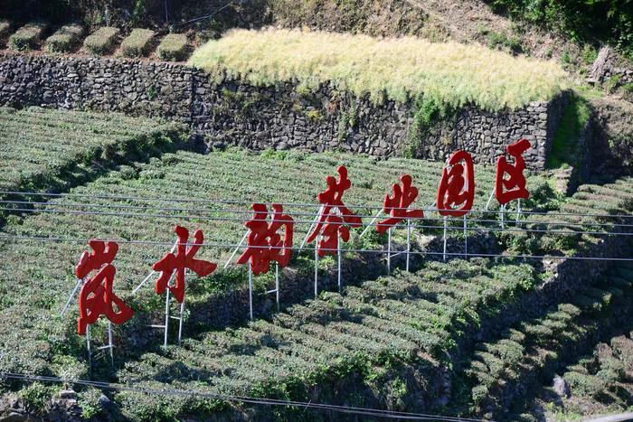 南宫市富硒茶