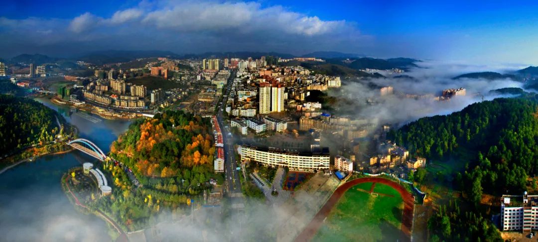 贵阳市富硒茶