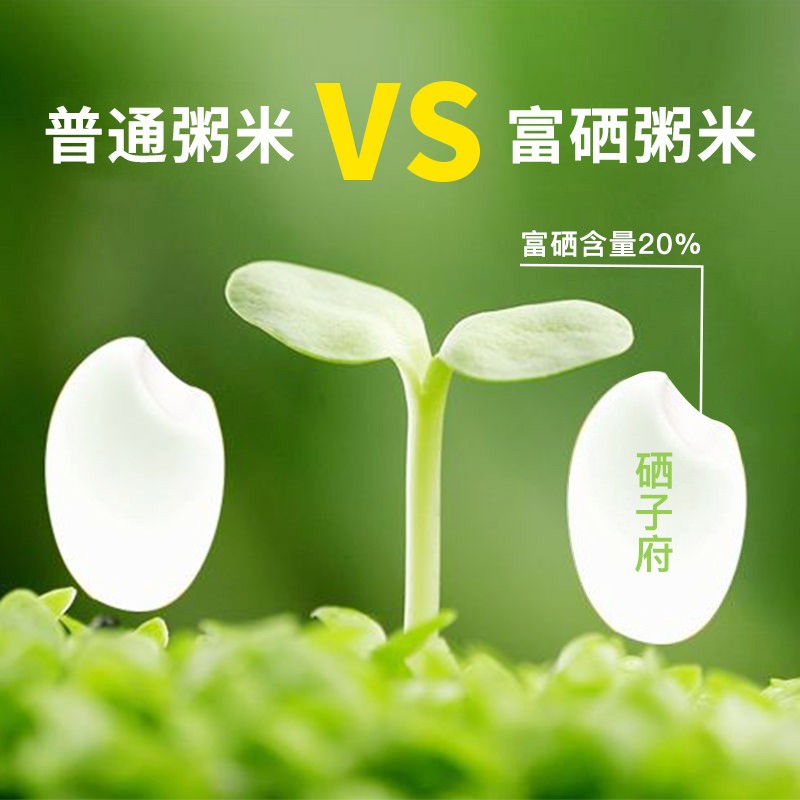 富硒大米市?。ǜ晃竺着ⅲ?硒宝网