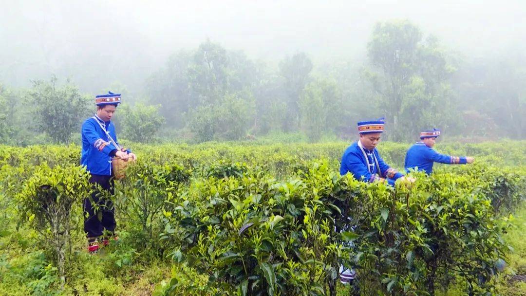 潘锦富硒大米