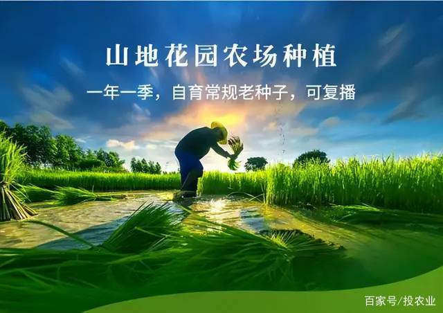 浦塘富硒大米
