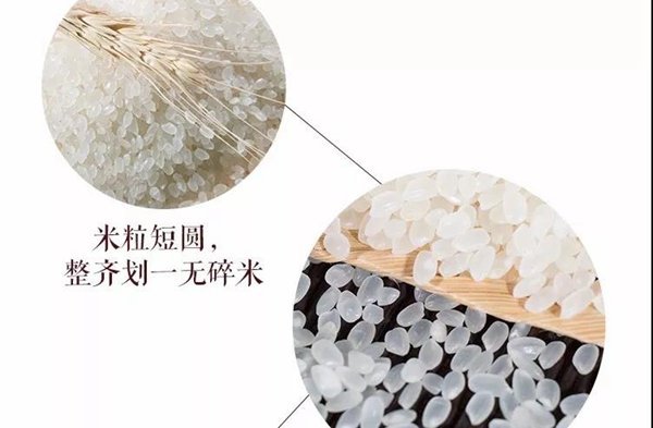 富硒大米测评