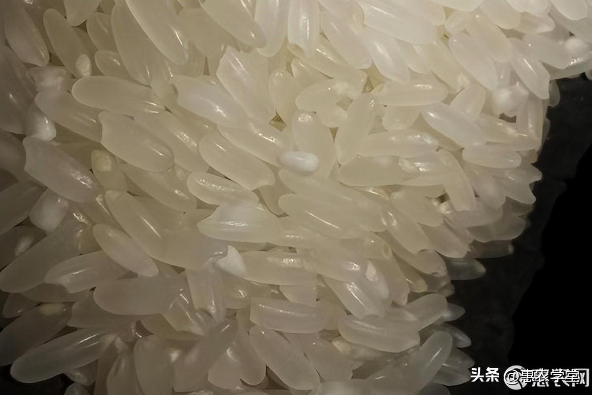 富硒大米米价