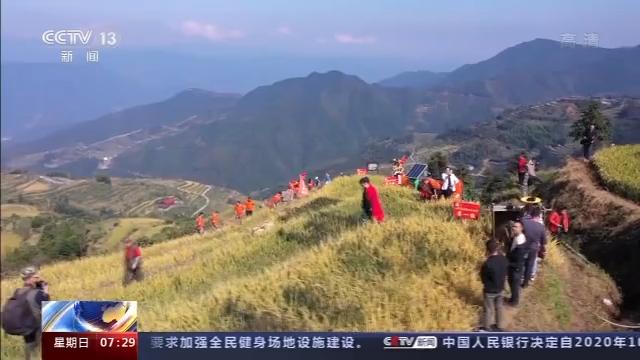 桦川富硒大米