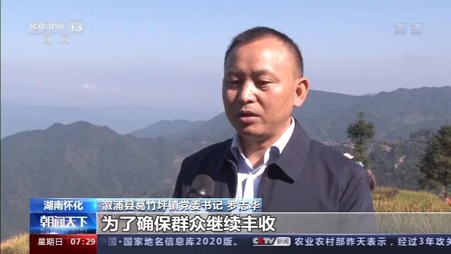 桦川富硒大米