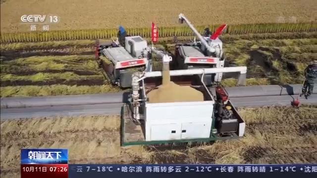 桦川富硒大米