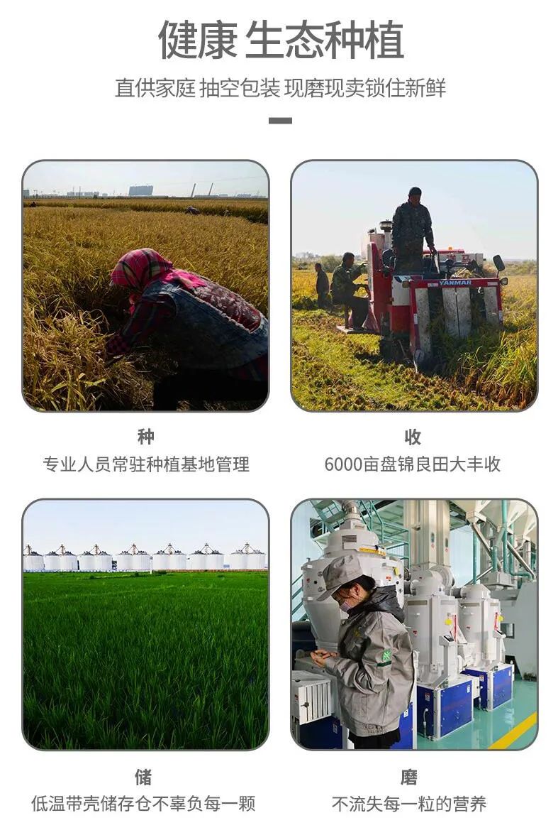 富硒大米特征