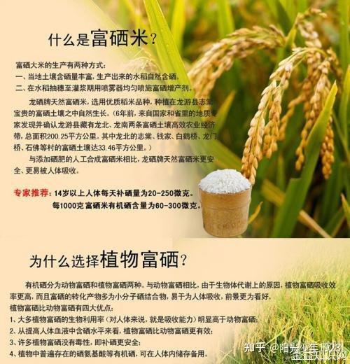 大本富硒大米
