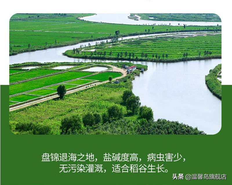 富硒盘锦大米