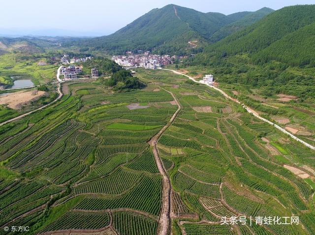 新田大米富硒