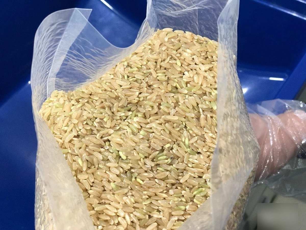 富硒大米发黄(富硒大米颜色微黄)-硒宝网