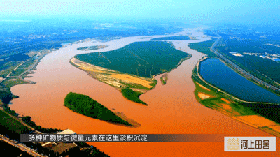 耕农富硒大米