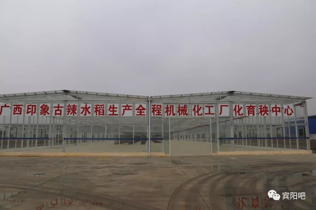 柳州富硒大米