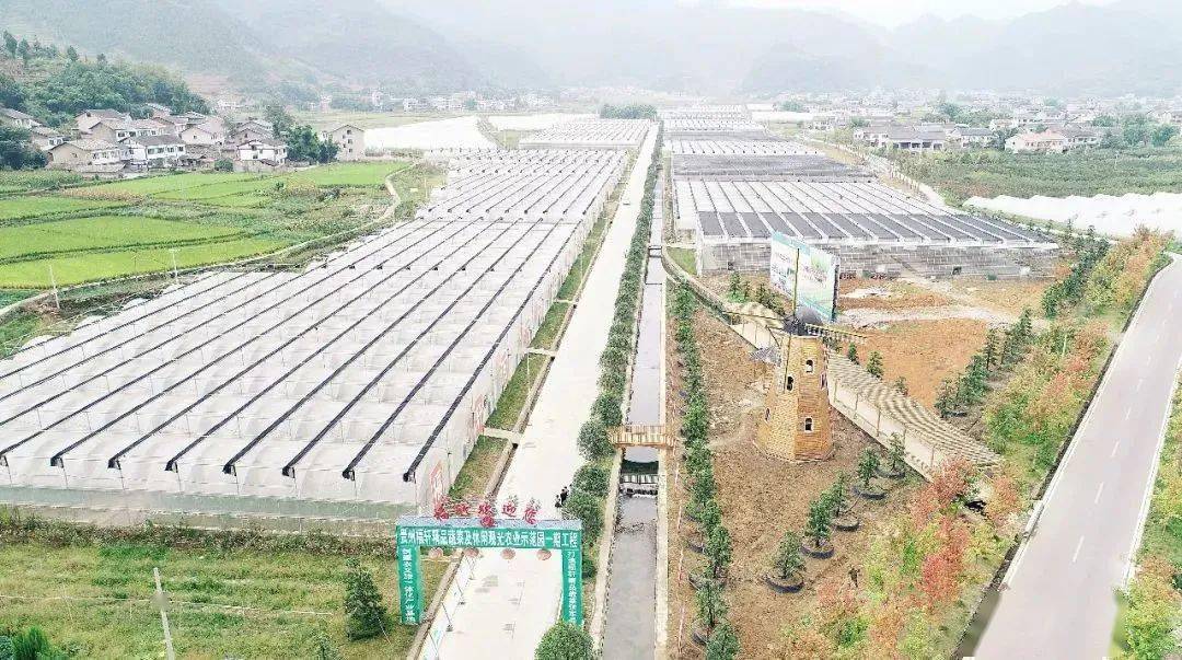 宁德富硒大米
