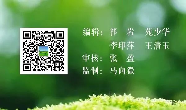 生平富硒大米