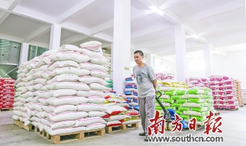 稻丰实业成为一家集粮食种植、收购、仓储、加工、销售配送及科研为一体的民营粮食企业。