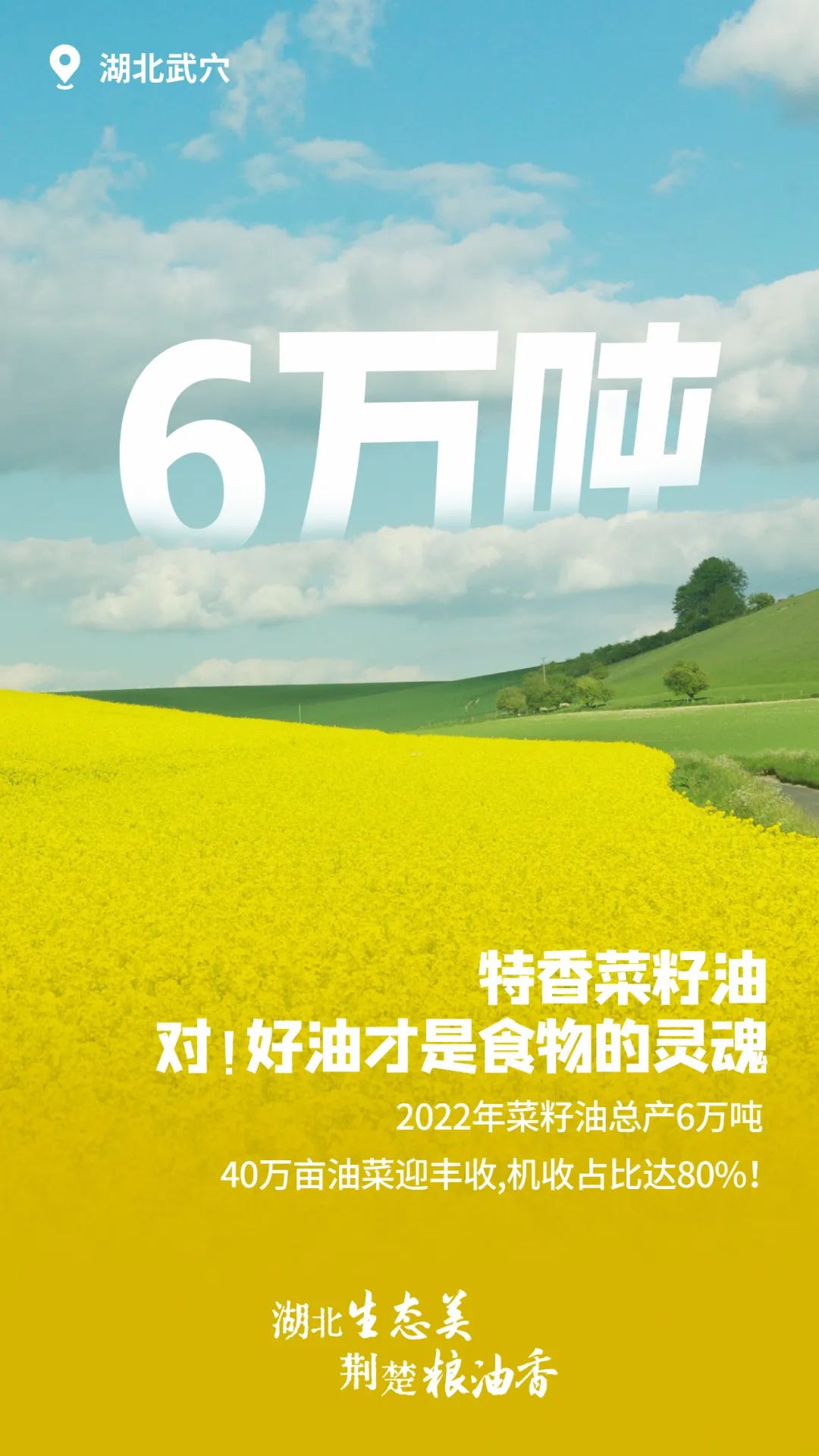 富硒大米湖北